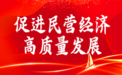 促進民營經(jīng)濟高質(zhì)量發(fā)展