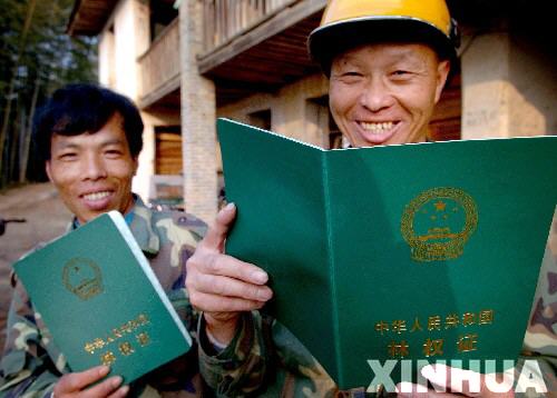 農村生產關系又一次大變革--集體林權制度改革綜述