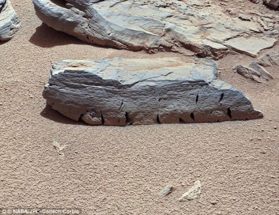 在火星上一片名為“巖巢”的地區發現的巖石，被命名為“巖巢3”，長大約15英寸(約合38厘米)，高約4英寸(約合10厘米)。“好奇”號火星車在“巖巢”采集土壤樣本并進行分析