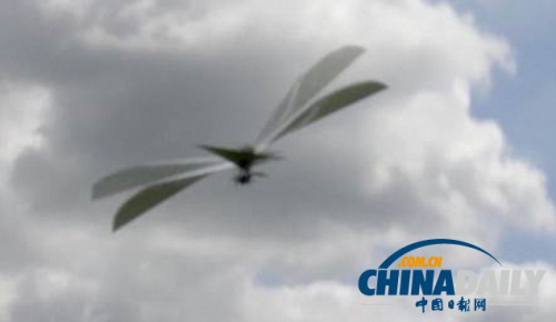 美打造高仿真“機器烏鴉”或變身戰爭間諜（圖）
