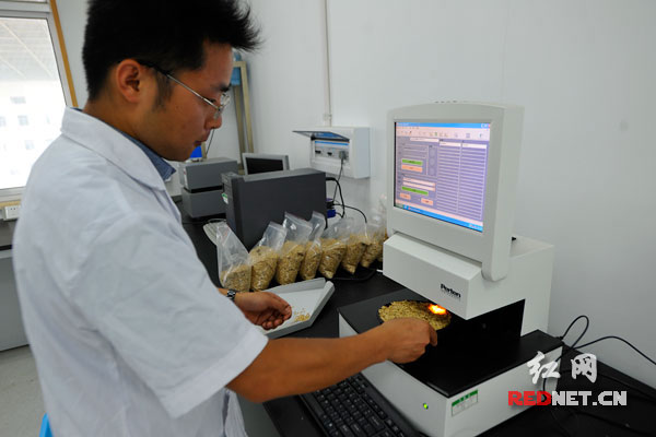 一分鐘檢定稻谷的重要指標(biāo)，湖南省糧油產(chǎn)品質(zhì)量監(jiān)測中心將投入國內(nèi)最先進(jìn)的設(shè)備為夏糧收購服務(wù)。