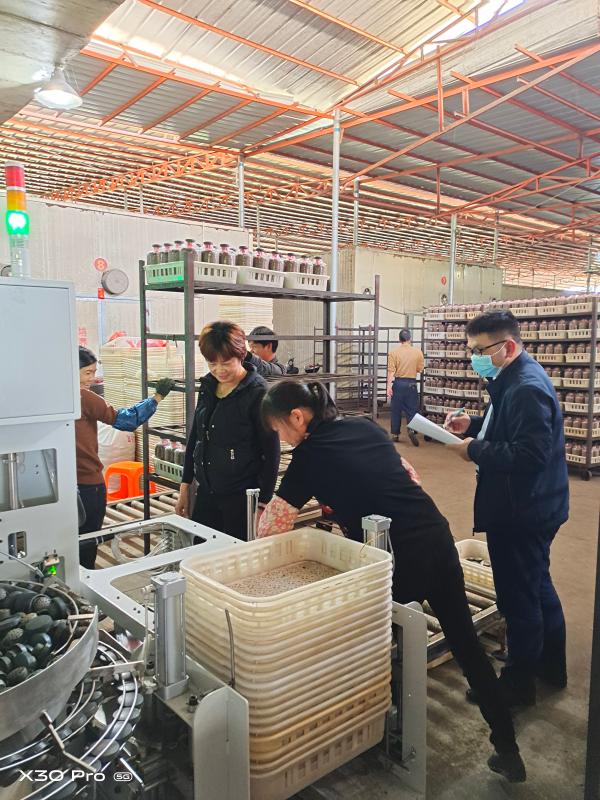 2 南安農商銀行金融助理深入南安市綠興食用菌有限公司了解融資需求.jpeg