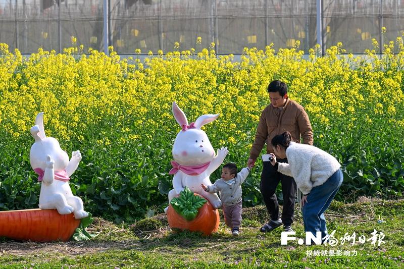 福州百花盛開，“賞花經(jīng)濟”如何持久綻放？